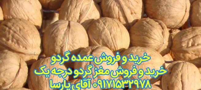 bulk dried walnuts with thin shell walnut 655x295 - خرید و فروش اینترنتی گردو و مغز گردو