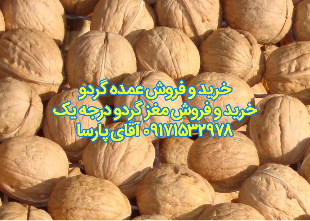 bulk dried walnuts with thin shell walnut - خرید و فروش اینترنتی گردو و مغز گردو